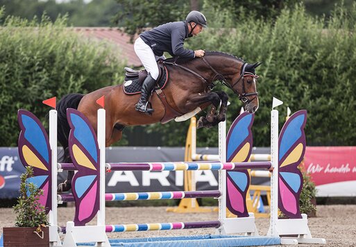 Capital One von Cador aus der Shanuka von Stakkato - Zeus | Züchter: Otto Ahlers, Osterholz-Scharmbeck