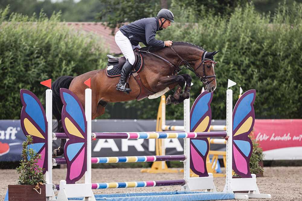 Capital One von Cador aus der Shanuka von Stakkato - Zeus | Züchter: Otto Ahlers, Osterholz-Scharmbeck