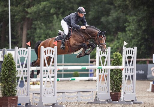 Capital One von Cador aus der Shanuka von Stakkato - Zeus | Züchter: Otto Ahlers, Osterholz-Scharmbeck
