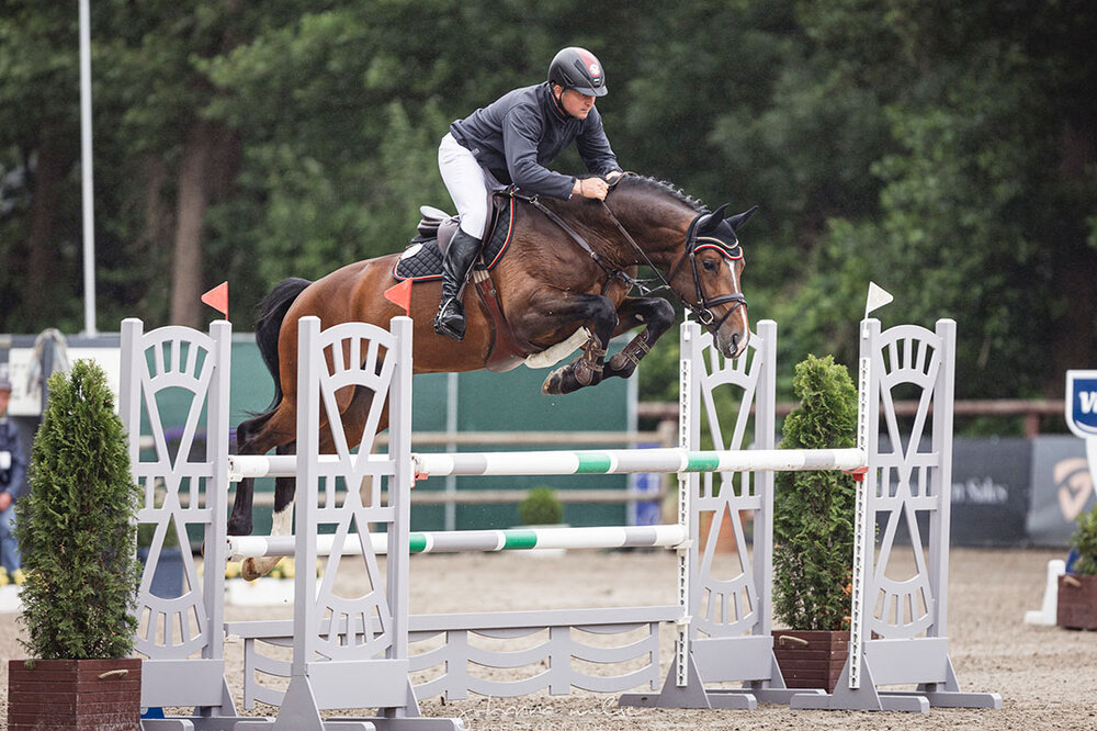 Capital One von Cador aus der Shanuka von Stakkato - Zeus | Züchter: Otto Ahlers, Osterholz-Scharmbeck
