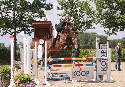 Capital One von Cador aus der Shanuka von Stakkato - Zeus | Züchter: Otto Ahlers, Osterholz-Scharmbeck