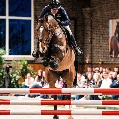 Capital One von Cador aus der Shanuka von Stakkato - Zeus | Züchter: Otto Ahlers, Osterholz-Scharmbeck