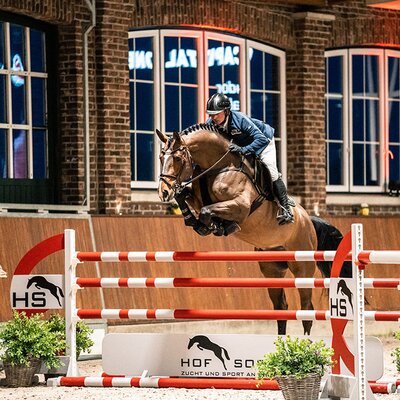 Capital One von Cador aus der Shanuka von Stakkato - Zeus | Züchter: Otto Ahlers, Osterholz-Scharmbeck