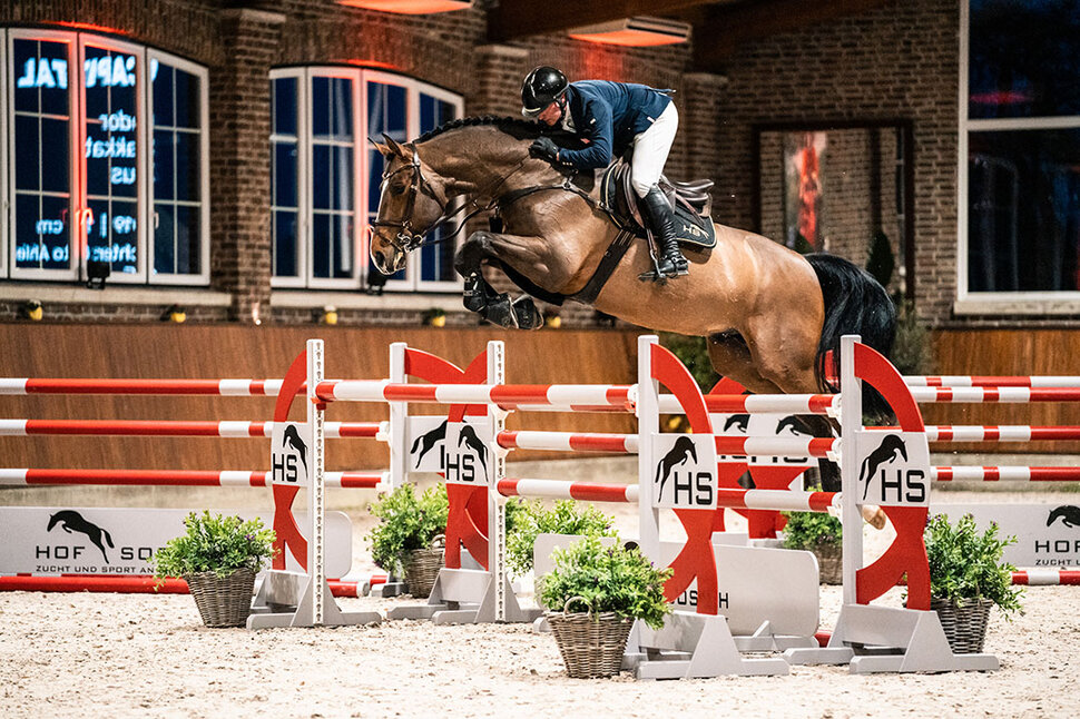 Capital One von Cador aus der Shanuka von Stakkato - Zeus | Züchter: Otto Ahlers, Osterholz-Scharmbeck