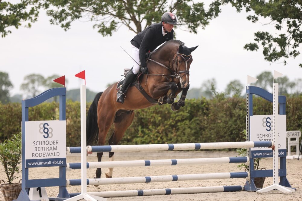 Capital One von Cador aus der Shanuka von Stakkato - Zeus | Züchter: Otto Ahlers, Osterholz-Scharmbeck