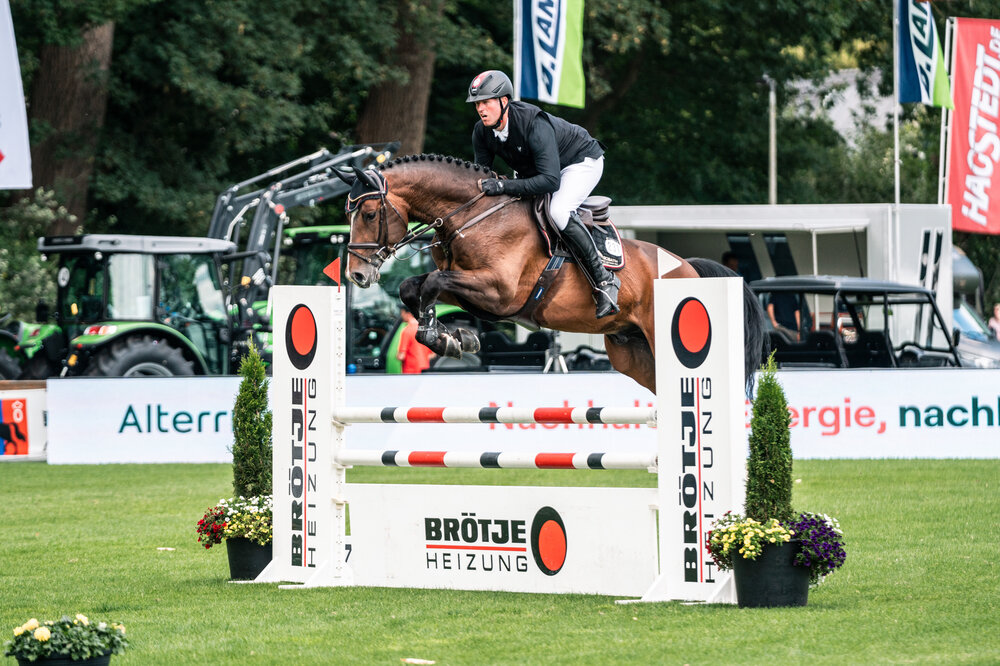 Capital One von Cador aus der Shanuka von Stakkato - Zeus | Züchter: Otto Ahlers, Osterholz-Scharmbeck