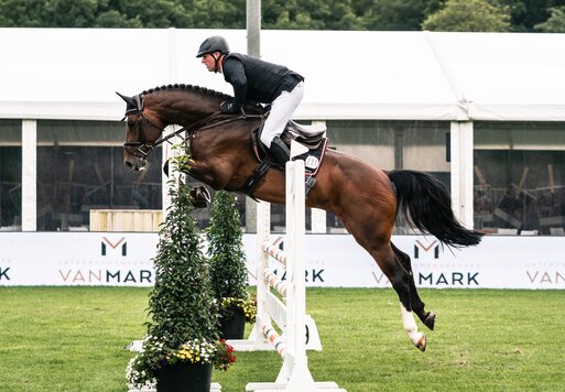 Capital One von Cador aus der Shanuka von Stakkato - Zeus | Züchter: Otto Ahlers, Osterholz-Scharmbeck