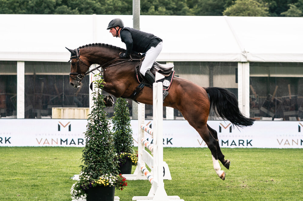 Capital One von Cador aus der Shanuka von Stakkato - Zeus | Züchter: Otto Ahlers, Osterholz-Scharmbeck