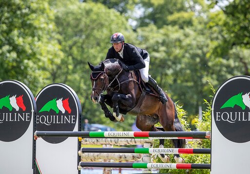 Casalido von Casall aus der Kyara von Calido I - Calypso II | Züchter: Peter Nagel-Tornau, Wangels 