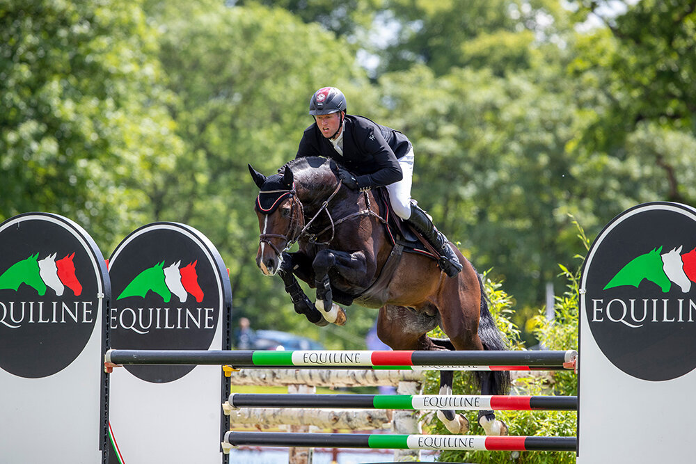 Casalido von Casall aus der Kyara von Calido I - Calypso II | Züchter: Peter Nagel-Tornau, Wangels 