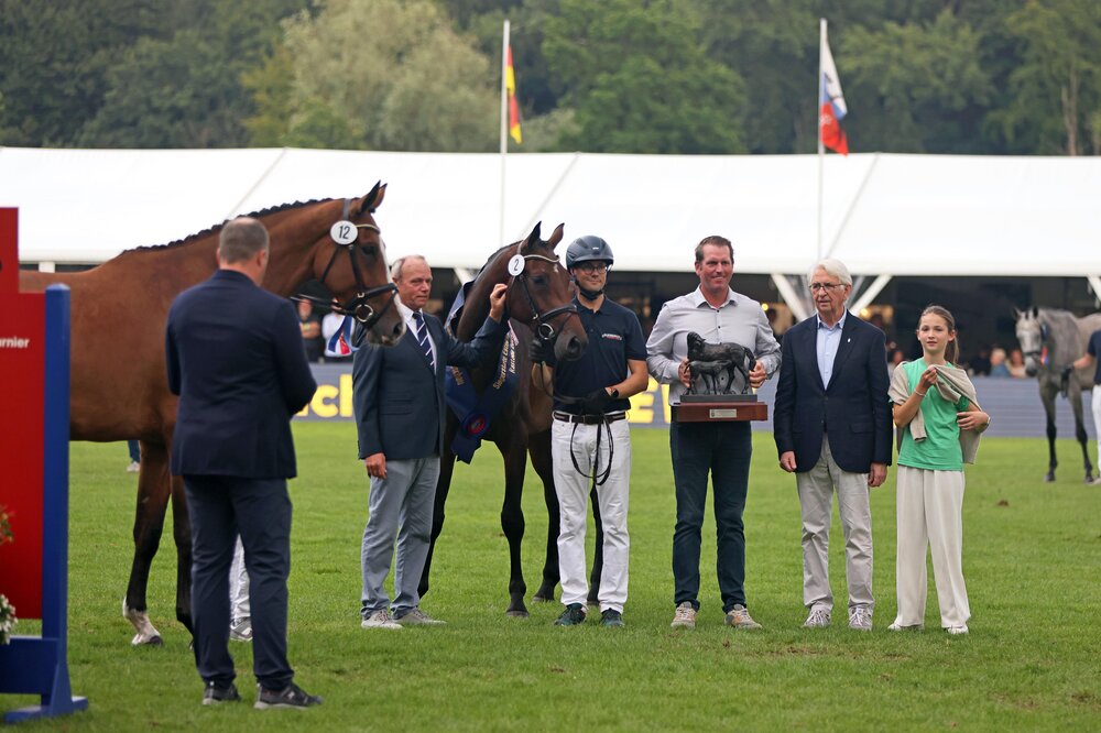 OS-Siegerstute Casalique v. Casalido a.d. Laquirinha v. Quality - Landor S | Züchter: Gerd Sosath