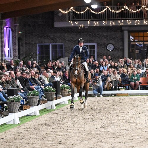 1c-Premium stallion Casino Toulon by Casino Berlin out of Gestelle by Toulon - Voltaire | Breeder: Gerd Sosath, Lemwerder