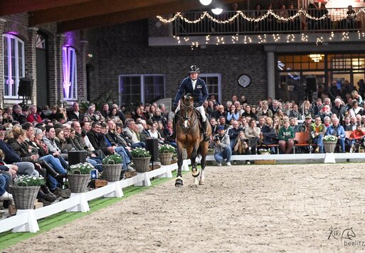 1c-Prämienhengst Casino Toulon von Casino Berlin aus der Gestelle von Toulon - Voltaire | Züchter: Gerd Sosath, Lemwerder