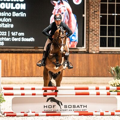 1c-Prämienhengst Casino Toulon von Casino Berlin aus der Gestelle von Toulon - Voltaire | Züchter: Gerd Sosath, Lemwerder