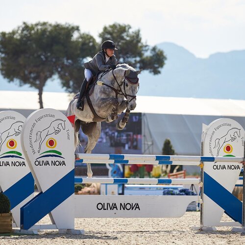 Casino Calvin by Casino Berlin out of Clonee Temple Z by Calvin x Feinschnitt | Breeder: Marleen Dietrichs, Hannover 