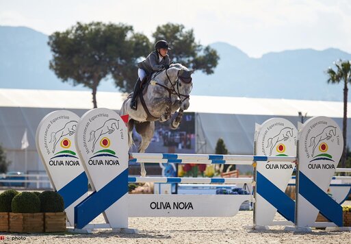 Casino Calvin von Casino Berlin aus der Clonee Temple Z von Calvin x Feinschnitt | Züchter: Marleen Dietrichs, Hannover 