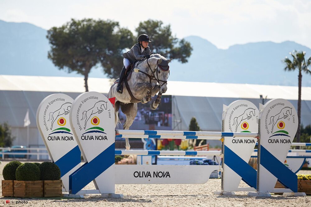 Casino Calvin von Casino Berlin aus der Clonee Temple Z von Calvin x Feinschnitt | Züchter: Marleen Dietrichs, Hannover 