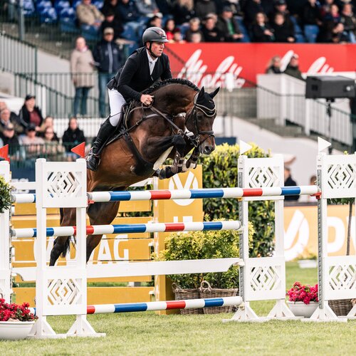 Casino Grande by Casino Berlin out of Baccara by Contact Me - Landadel | Breeder: Gerd Sosath, Lemwerder 