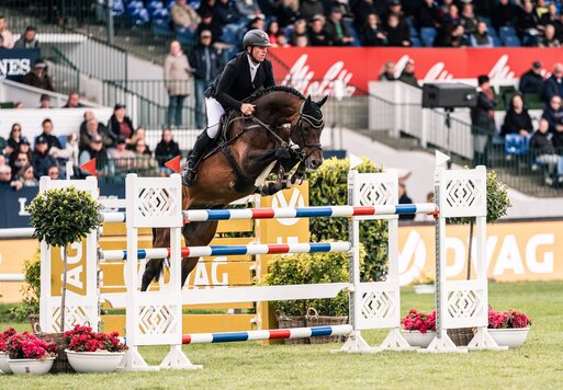 Casino Grande by Casino Berlin out of Baccara by Contact Me - Landadel | Breeder: Gerd Sosath, Lemwerder 