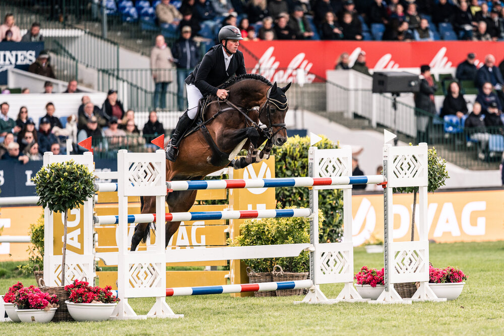 Casino Grande by Casino Berlin out of Baccara by Contact Me - Landadel | Breeder: Gerd Sosath, Lemwerder 