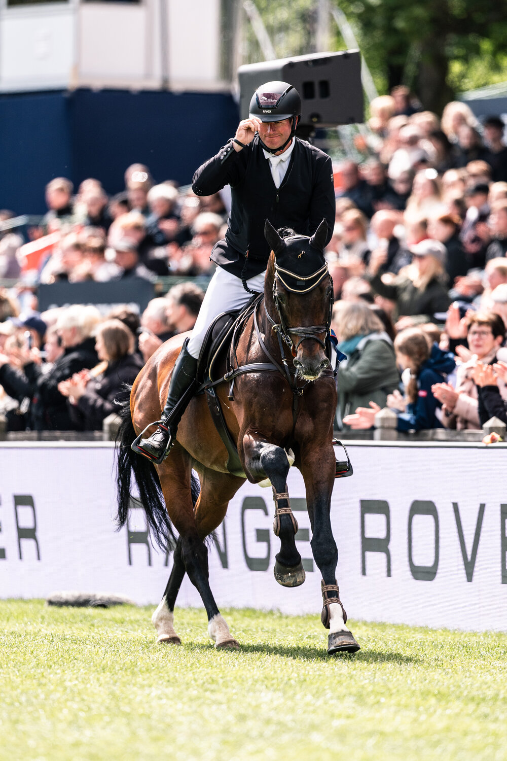 Casino Grande by Casino Berlin out of Baccara by Contact Me - Landadel | Breeder: Gerd Sosath, Lemwerder 