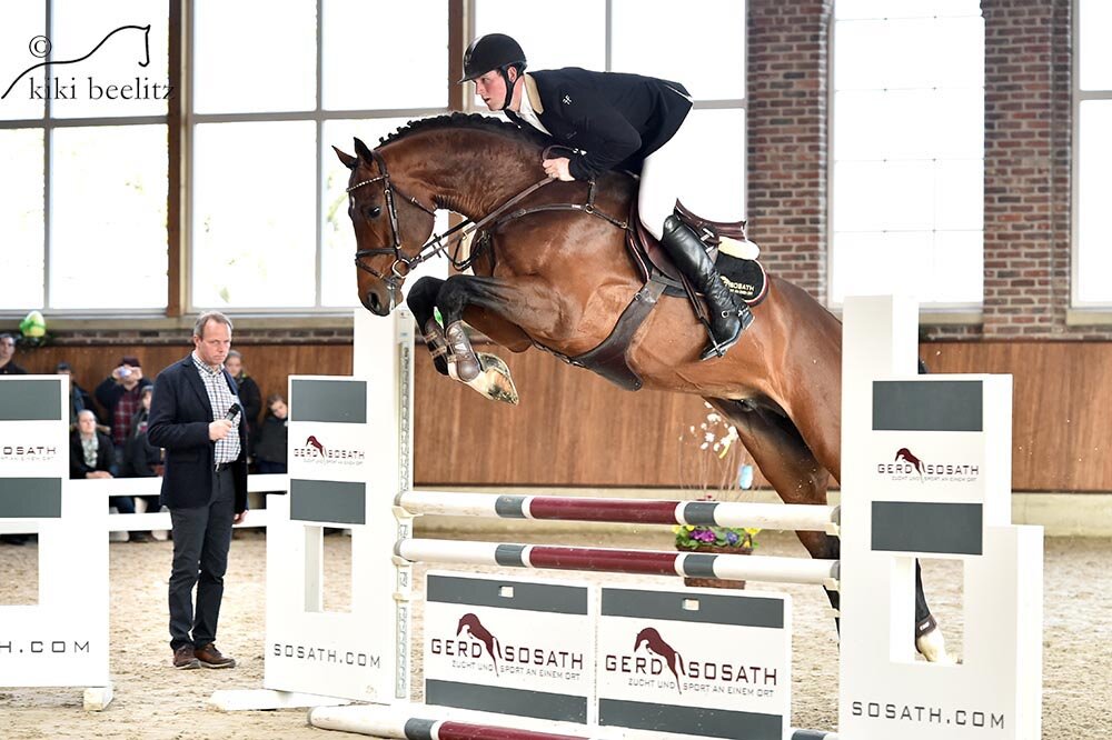 Casino Grande by Casino Berlin out of Baccara by Contact Me - Landadel | Breeder: Gerd Sosath, Lemwerder (Germany)