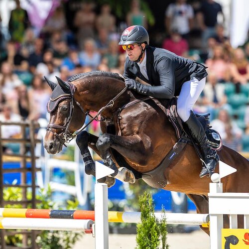 Casino Grande by Casino Berlin out of Baccara by Contact Me - Landadel | Breeder: Gerd Sosath, Lemwerder 