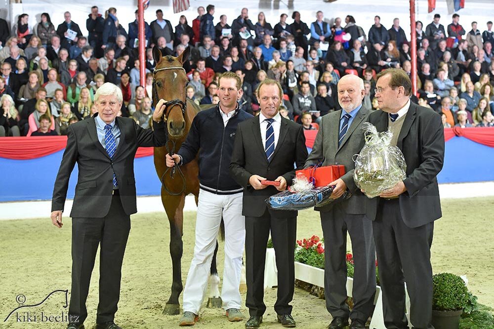 1c premium stallion Casino Grande by Casino Berlin out of Baccara by Contact Me - Landadel | Breeder: Gerd Sosath, Lemwerder (Germany)