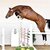 Casino Grande by Casino Berlin out of Baccara by Contact Me - Landadel | Breeder: Gerd Sosath, Lemwerder (Germany)