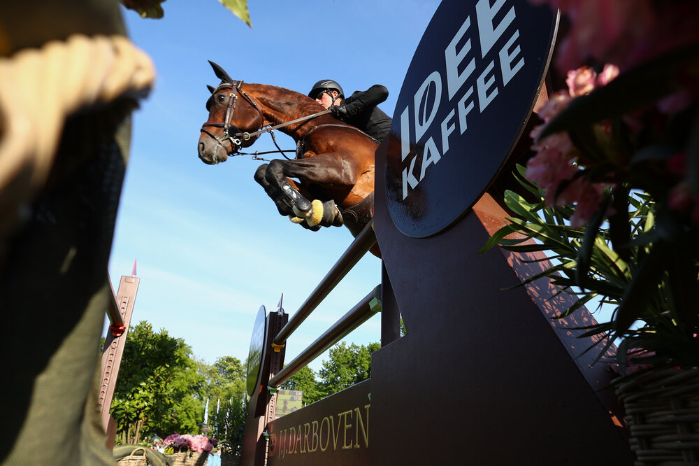 Casino Grande von Casino Berlin aus der Baccara von Contact Me - Landadel | Züchter: Gerd Sosath, Lemwerder 