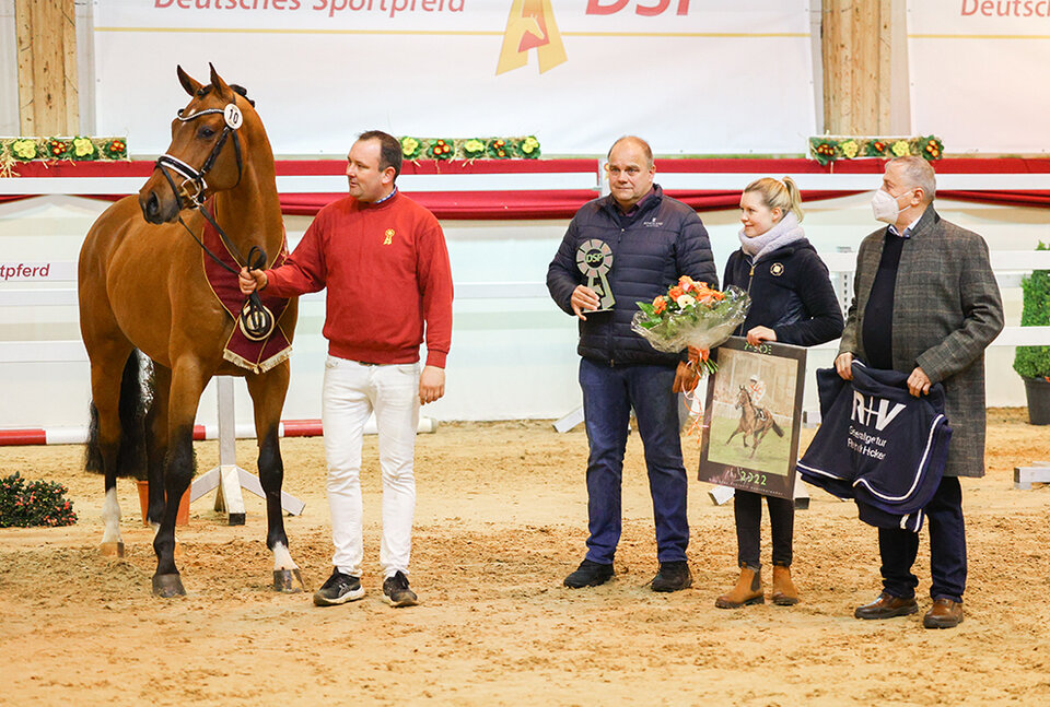 Winning stallion by Casino Grande out of Havanna Cola by Havana Club x Cornet Obolensky | Breeder: Antonius Schulze-Averdiek, Rosendahl 