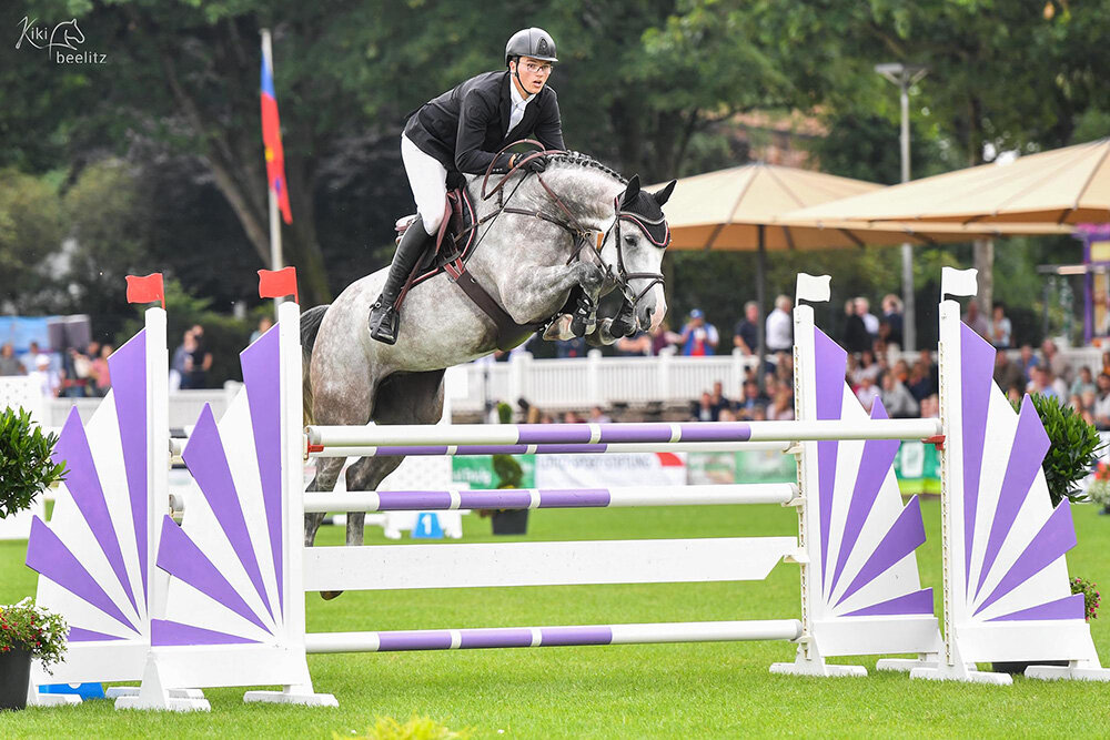Oldenburger Landeschampionesse Crystal Blue von Casino Grande aus der Miss Blue von Mr. Blue x Sandro Boy |  Züchter: Gerd Sosath, Lemwerder     