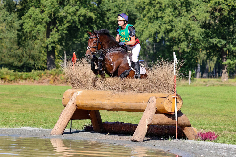Erfolgreich bei den DAM Vielseitigkeit Wild West Candy Rose von Casino Grande aus der Grand Rose von  Rosario– Akzent II | Züchterin: Johanna Wetjen-Sanders, Rastede