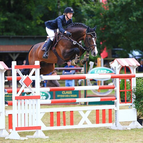 Casiro by Cassini I out of Generation by Landgraf I - Ramiro | Breeder: Christiane Kuhn, Eggstedt