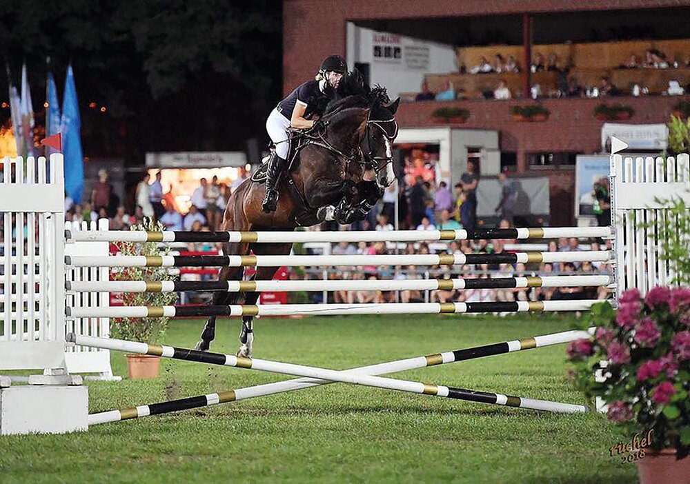 Casiro von Cassini I aus der Generation von Landgraf I - Ramiro | Züchter: Christiane Kuhn, Eggstedt 