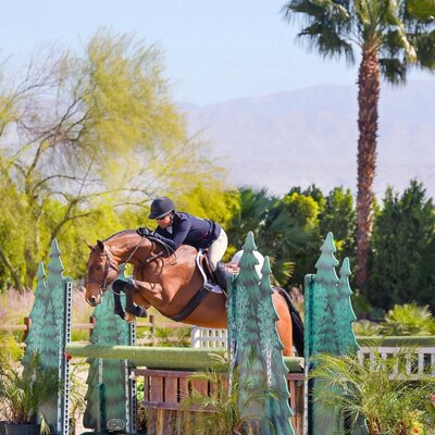 Charismo von Casiro aus der Charisma von Calando - Libero | Züchter: Ferdi Hodel, Schweiz