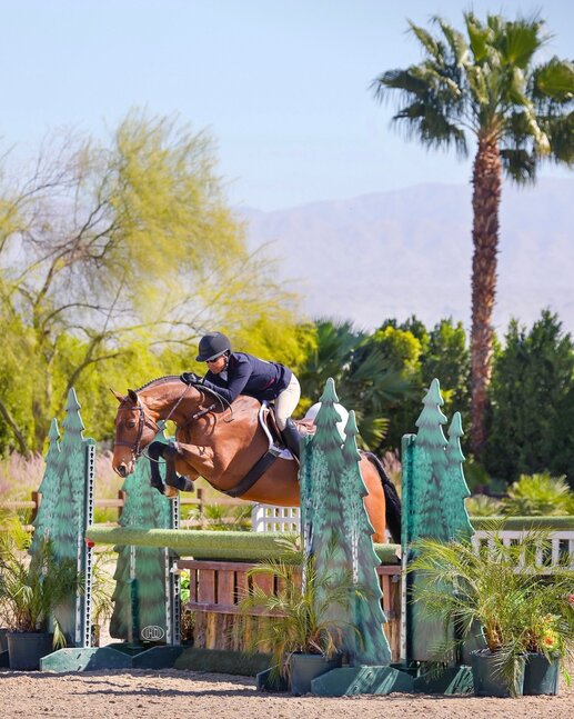 Charismo von Casiro aus der Charisma von Calando - Libero | Züchter: Ferdi Hodel, Schweiz