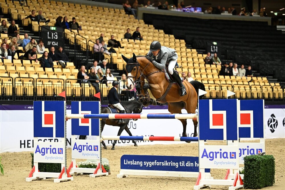 Lady Corlina von Casiro a.d. Corlina v. Corlensky a.d. Lady Heida II v. Landor S | Züchter: Gerd Sosath, Lemwerder  | © ridehesten.com