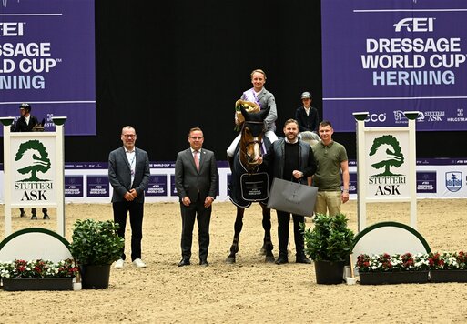 Lady Corlina von Casiro a.d. Corlina v. Corlensky a.d. Lady Heida II v. Landor S | Züchter: Gerd Sosath, Lemwerder  | © ridehesten.com