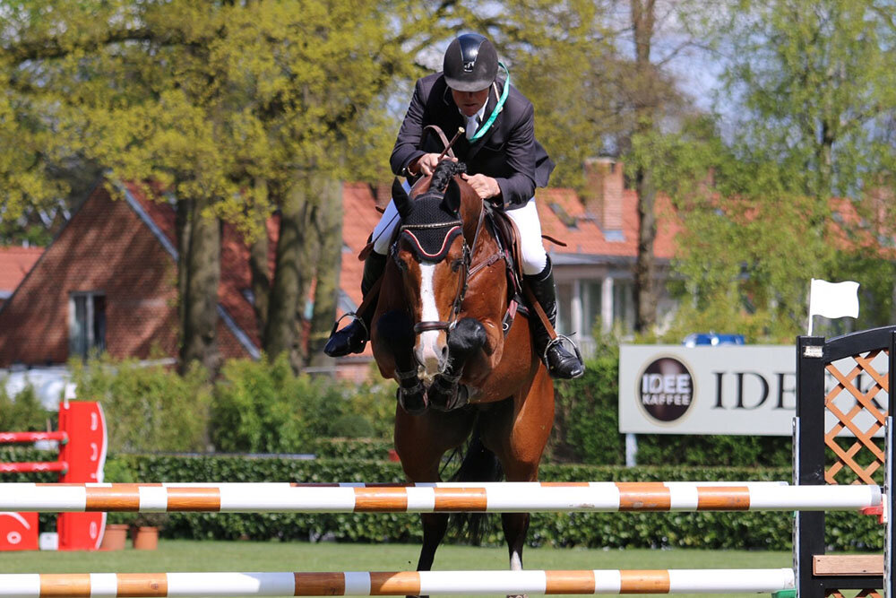 Casirus von Casiro aus der Landora von Landor S - Carolus | Züchter: Gerd Sosath, Lemwerder