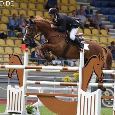 Cadora by Catoki out of Lady Heida II by Landor S - Contender | Breeder: Gerd Sosath, Lemwerder (Germany)