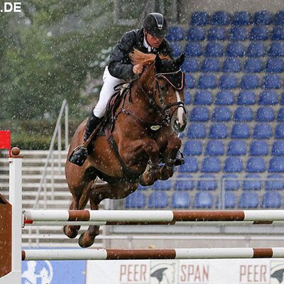 Cadora by Catoki out of Lady Heida II by Landor S - Contender | Breeder: Gerd Sosath, Lemwerder (Germany)