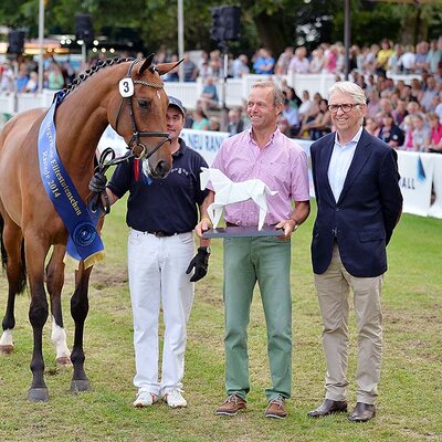 Lady Cadora by Catoki out of Lady Heida II by Landor S - Contender | Breeder: Gerd Sosath, Lemwerder (Germany)