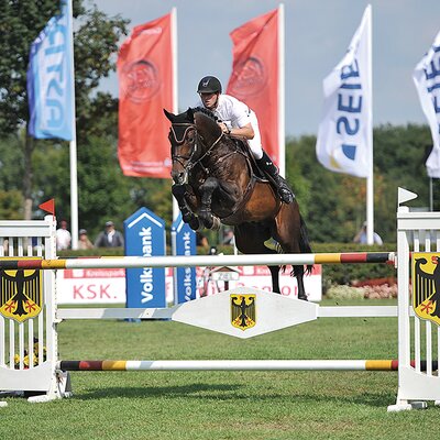 Cador by Catoki out of Lady Heida II by Landor S - Contender | Breeder: Gerd Sosath, Lemwerder (Germany)