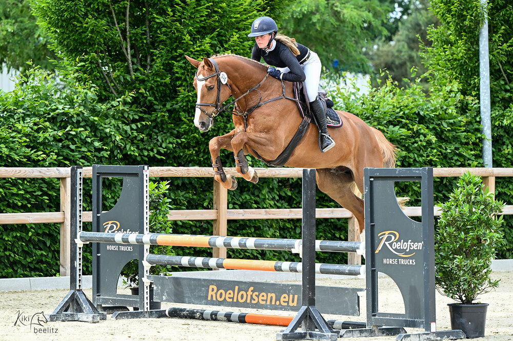 Oldenburger Hauptprämienstute Lady Columbia von Catoki aus der Lady Heida II von Landor S - Contender | Züchter: Gerd Sosath, Lemwerder