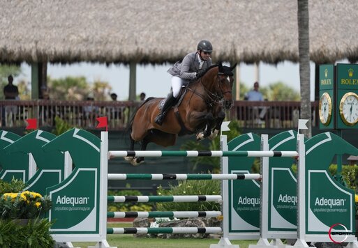Coby v. Contagio a.d. Estefania v. Escudo I - Pik König | Züchter: Felix Geffken, Lilienthal | Philipp Weishaupt