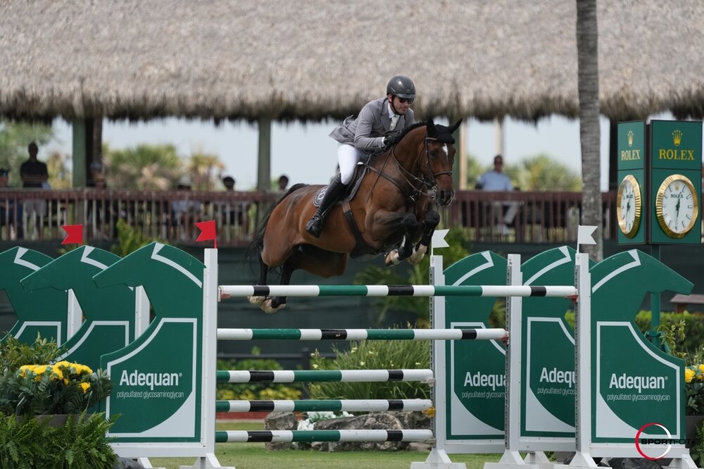 Coby v. Contagio a.d. Estefania v. Escudo I - Pik König | Züchter: Felix Geffken, Lilienthal | Philipp Weishaupt