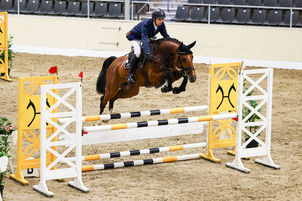 Chatendro v. Chacoon-Blue a.d. Cassie v. Contendro I a.d. Estefania v. Escudo I - Pik König | Züchter: Felix Geffken, Lilienthal