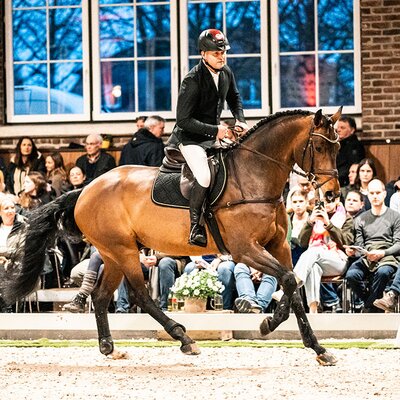 Clear Heart Z von Casall SEM aus der Mjanghøj's Count on me Z von 3Q Coulthard - A'Khan Z |Züchter: Torben Nielsen und Eva Jørgensen , Dänemark