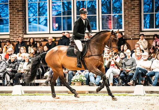 Clear Heart Z by Casall SEM out of Mjanghøj's Count on me Z by 3Q Coulthard - A'Khan Z |Breeder: Torben Nielsen and Eva Jørgensen , Denmark